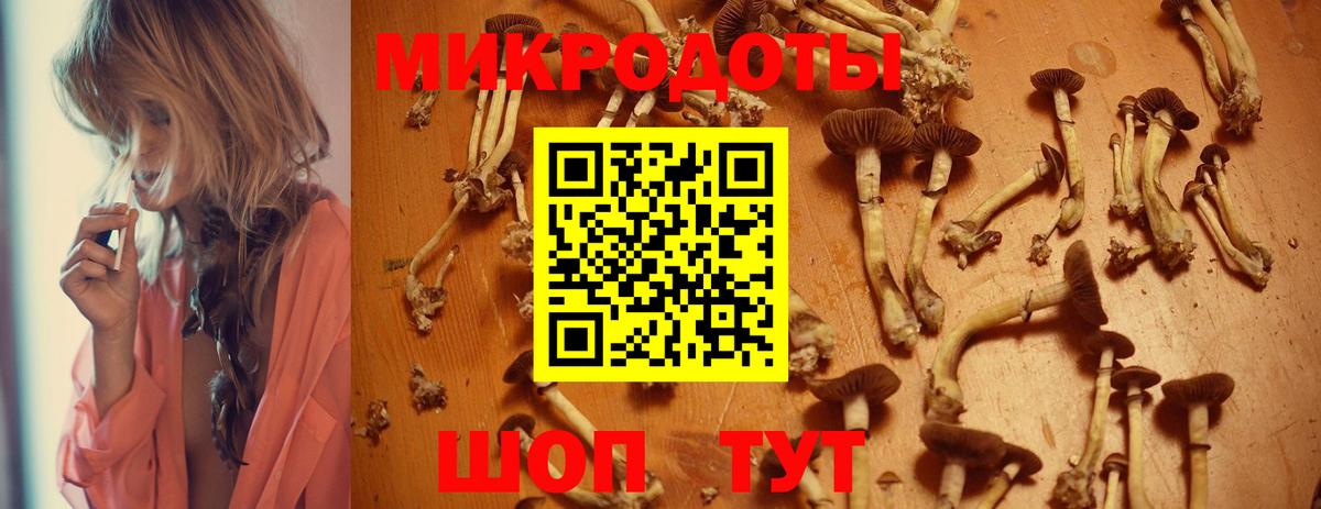 Галлюциногенные грибы мицелий  Псилоцибиновые грибы Psilocybe  Северобайкальск  купить закладку  Вход с VPN 