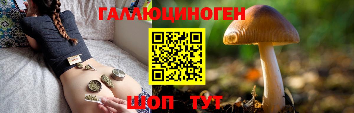 Псилоцибиновые грибы прущие грибы Северобайкальск